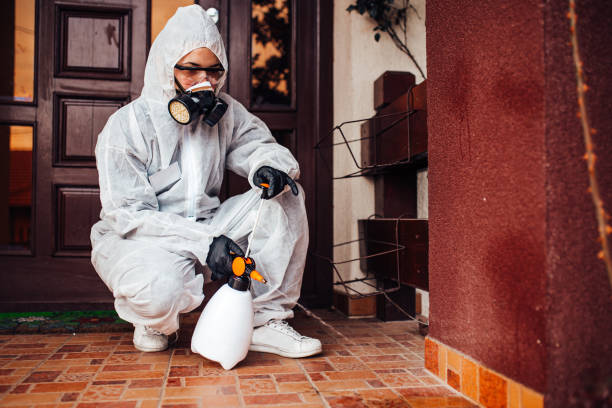 Attic and Crawl Space Rodent Treatment in Cabana Colony